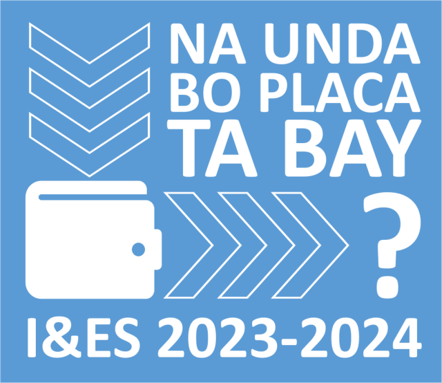 logo ies 2023 2024 blauw