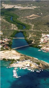 Aruba Marine Mammal Foundation ta reacciona riba leak2 169x300