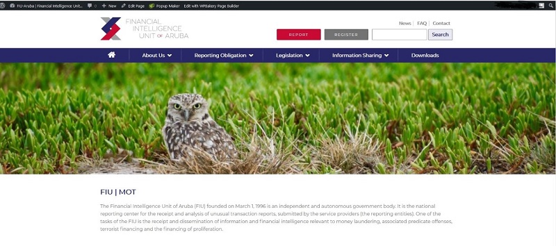 thumbnail Home page new website FIU Aruba.jjpg