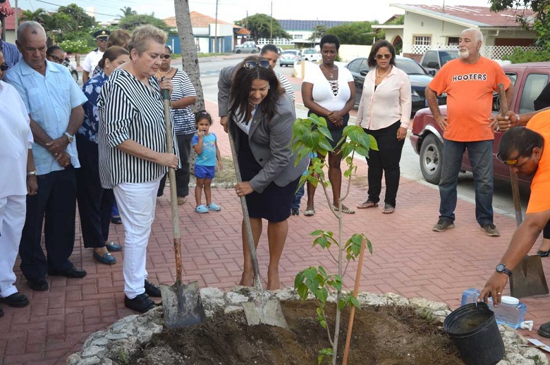 planta mata na acto solem pa recorda Rishandroh y Roshandrick 02