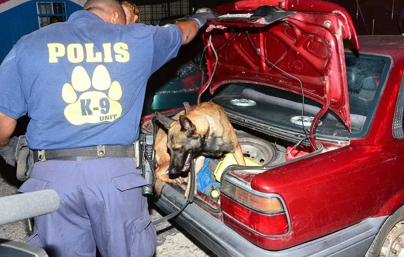 Polis cu accion preventivo e fin di siman aki