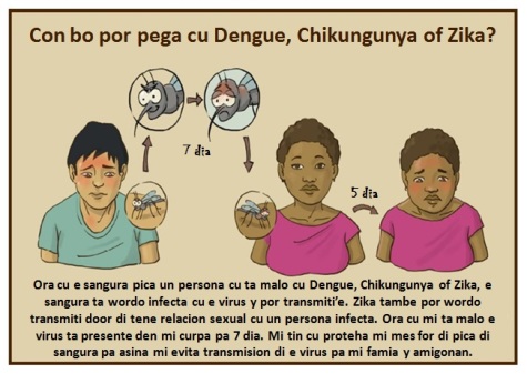 Dengue Chikungunya Zika Pa 2