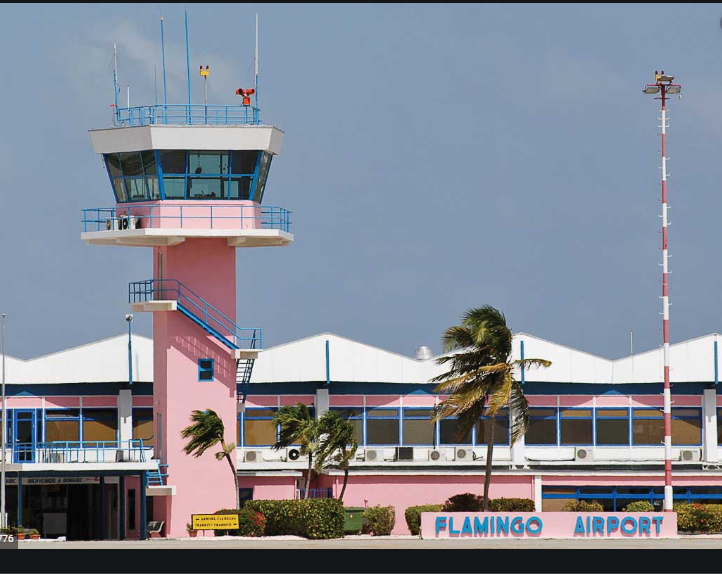 thumbnail Flamingo airport