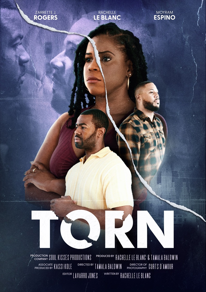 Pic Movie Torn Poster 1