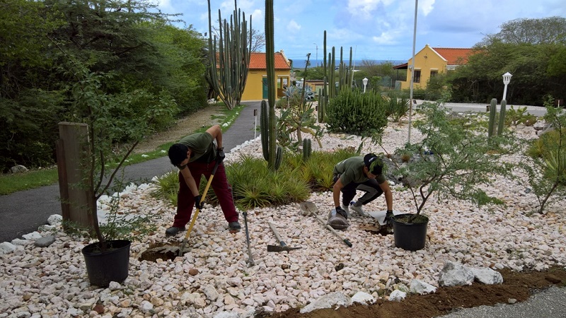 WP 20171101 14 16 37 Pro