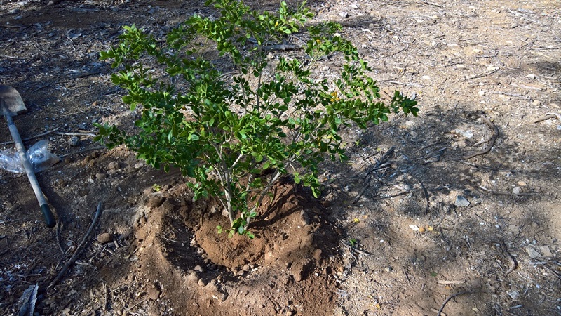 WP 20171101 15 47 15 Pro