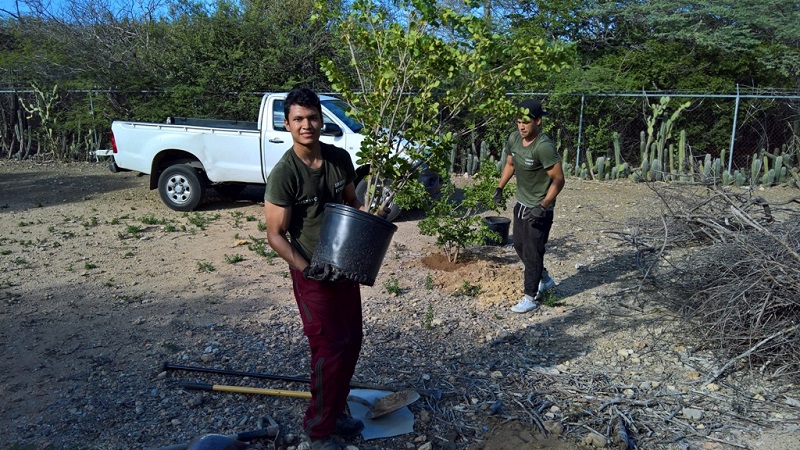 WP 20171101 15 49 40 Pro