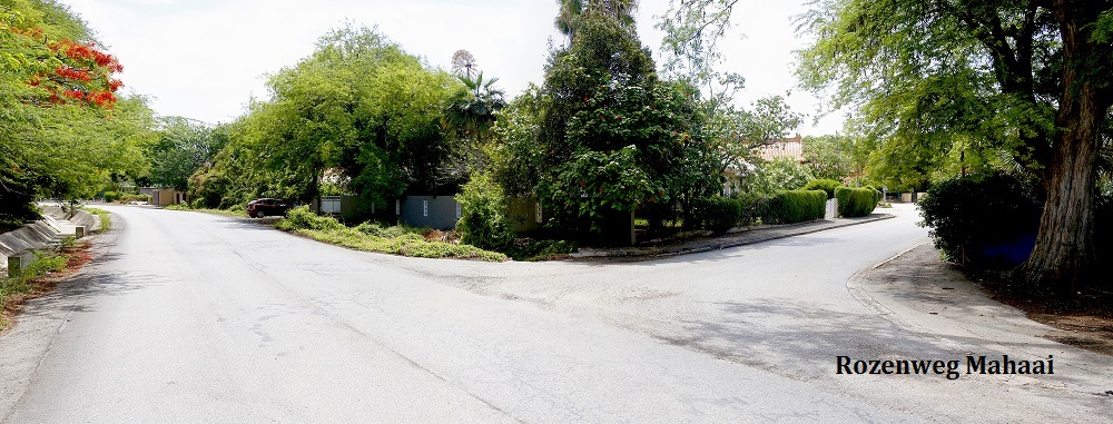 Rozenweg Magdalenaweg Panorama