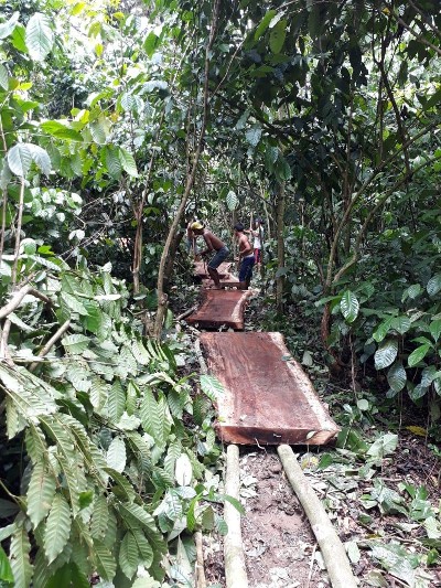 slepen boomstamtafelblad door jungle